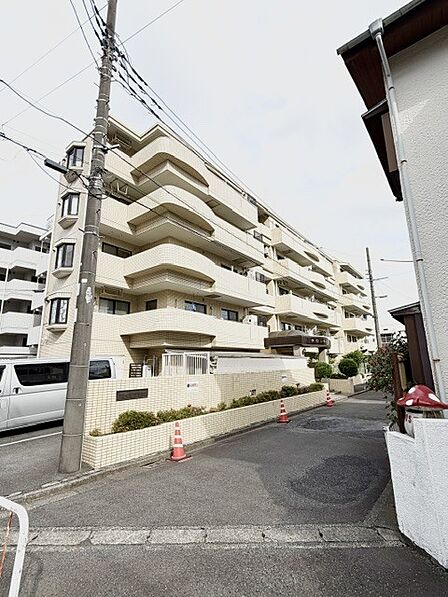 2026年6月11日 撮影