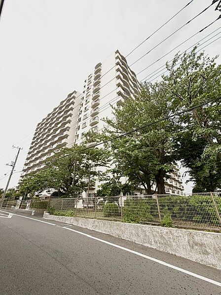 2026年6月12日 撮影