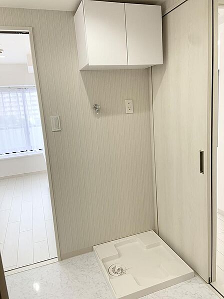室内(2026年7月下旬撮影)