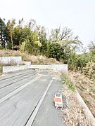 2026年4月9日　撮影