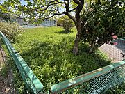 現地（2025年4月撮影）