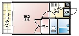 🉐敷金礼金0円！🉐パッシオーネ