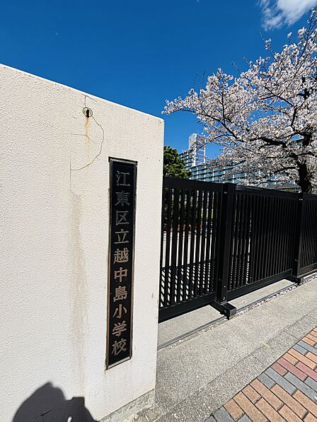 江東区立越中島小学校まで徒歩2分(170m)