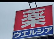 ウエルシア上三川しらさぎ店 540m