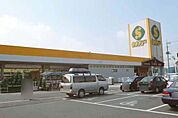 セキチュー宇都宮駒生店 350m