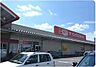 周辺：ザ・ビッグエクストラさくら店 9691m