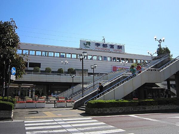 ザ・ミレニアムタワー ｜栃木県宇都宮市駅前通り2丁目(賃貸マンション2LDK・10階・59.62㎡)の写真 その28