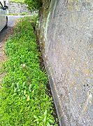 南西側の道路との堺は擁壁で区切られ、側溝があります