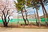 周辺：仙台市立宮城野中学校 徒歩11分。 750m