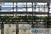 写真は大規模修繕中ですが、目の前には緑地があり、建物なく見晴らしの良い景色が望めます。