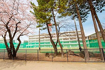 仙台市立宮城野中学校 徒歩24分。 1910m