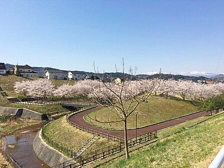 錦ケ丘中央公園 徒歩6分。 480m