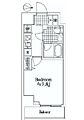 アイルイムーブル亀戸2階10.0万円