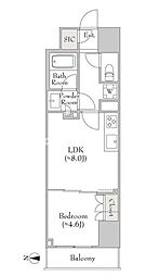 ルミーク錦糸町 1LDKの間取図画像
