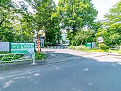病院 2300m 東京天使病院