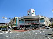 スーパー 3800m イトーヨーカドー大船店