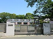 幼稚園・保育園 480m 白百合愛児園