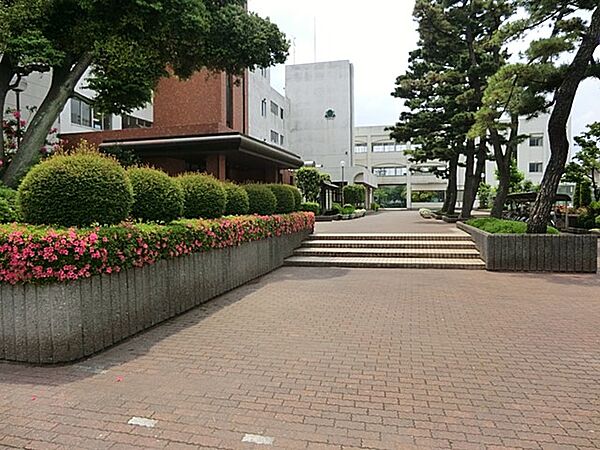 周辺を拡大表示