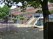 幼稚園・保育園 400m 柏幼稚園