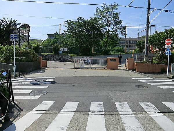 周辺を拡大表示