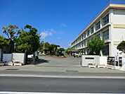 小学校 800m 平塚市立金田小学校