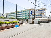 小学校 300m 茅ヶ崎市立今宿小学校