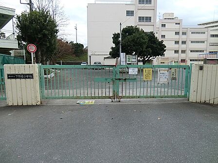 小学校 470m 横浜市立下野庭小学校