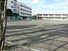 周辺：中学校 536m 横浜市立樽町中学校