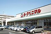 ヨークベニマル石井店 384m
