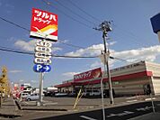 ツルハドラッグ宇都宮戸祭店 1167m