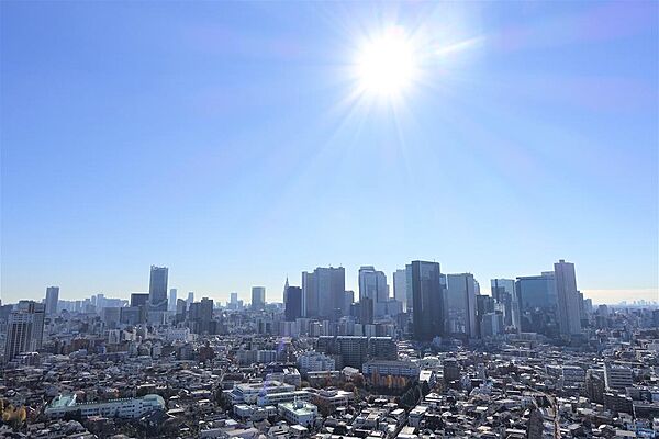 ユニゾンタワー ｜東京都中野区東中野5丁目(賃貸マンション3LDK・30階・79.85㎡)の写真 その14