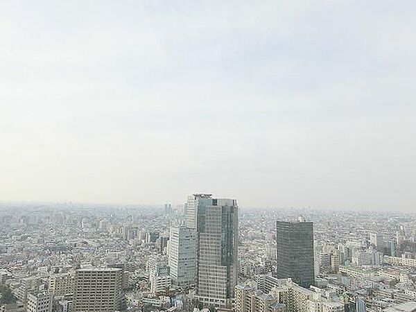 ザ・パークハウス西新宿タワー60 2502｜東京都新宿区西新宿5丁目(賃貸マンション2LDK・25階・62.56㎡)の写真 その15