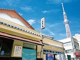 ALIVIO錦糸町  ｜ 東京都墨田区緑4丁目（賃貸マンション2LDK・9階・51.68㎡） その21