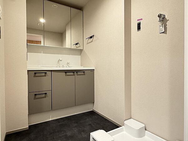 洗面を拡大表示
