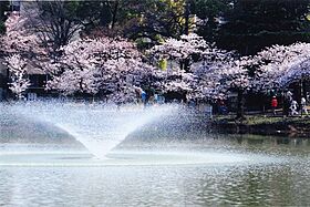 フジパレス帝塚山II番館  ｜ 大阪府大阪市住吉区万代東2丁目（賃貸アパート1LDK・2階・33.84㎡） その7