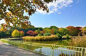 La・Liberta長居公園  ｜ 大阪府大阪市住吉区長居東4丁目（賃貸マンション1K・12階・22.27㎡） その9