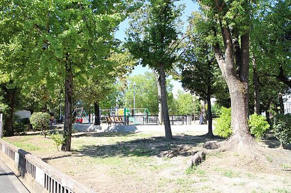 画像28:【公園】今津南公園まで217ｍ