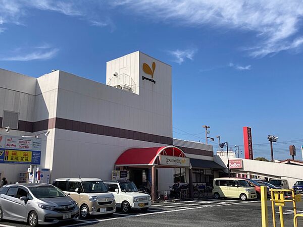 画像22:【スーパー】グルメシティ鶴見店まで581ｍ