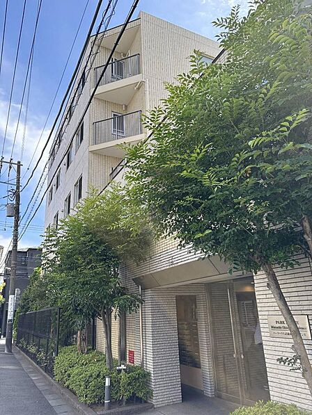 平坦なアプローチ。閑静な住宅街。