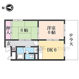 梛