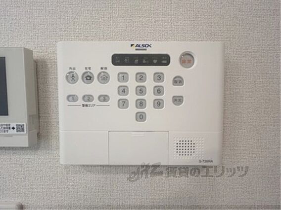 ミモザ_その他_7