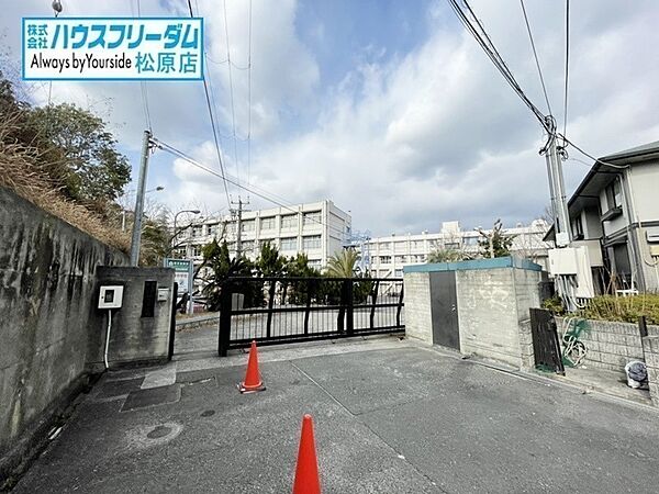 周辺を拡大表示