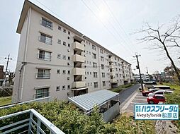 金剛第三住宅 224棟