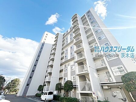 実際に現地ご覧いただけます