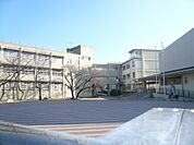 上野芝中学校