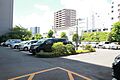 敷地内にカース...
