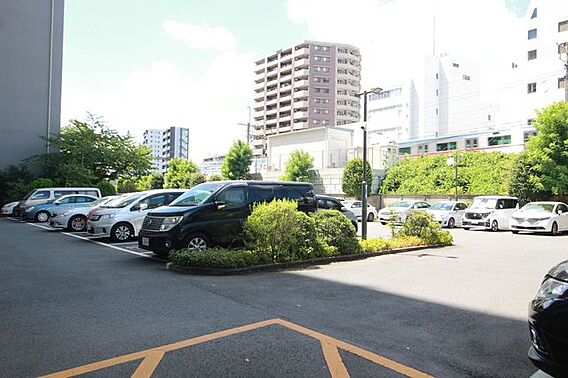 敷地内にカース...