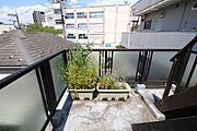 多くの陽光を取り込み、空間を明るく演出するバルコニー！室内の空気を入れ換えられて気持ち良く過ごせます♪