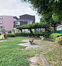 六月やすらぎ公園 390m