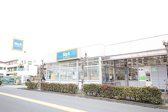 ビッグ・エー花...